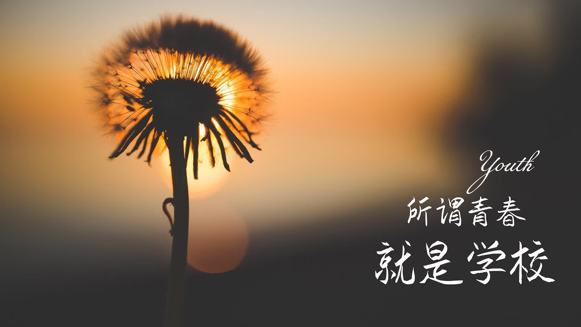 世界体能挑战赛:跨项训练营成为人才培养新途径,世界体能大赛