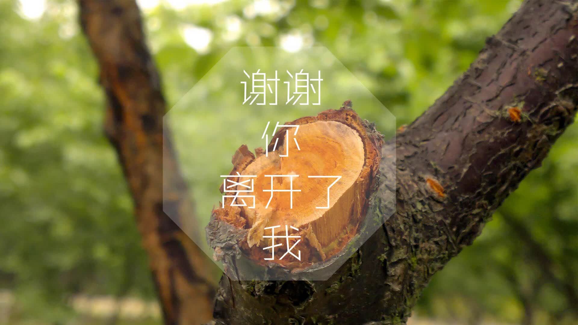 世界排球联赛:拦网效率成为球队稳胜关键,排球拦网是一项什么技术