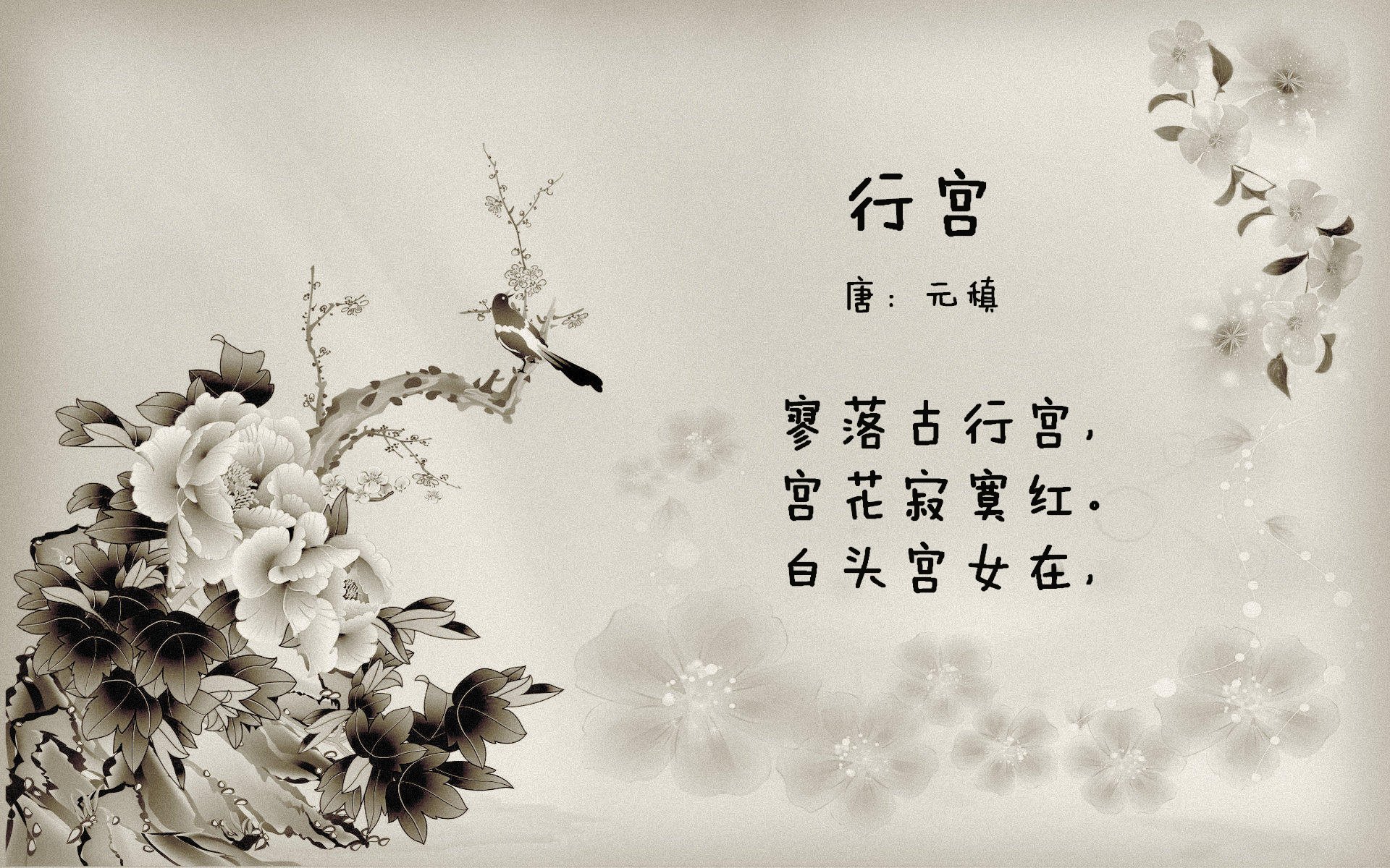 世界杯备战观察,世界杯准备